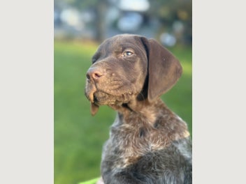 Image 1 of 7