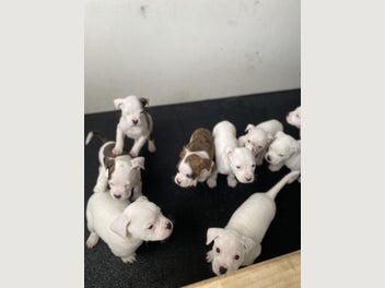 Image 1 of 11