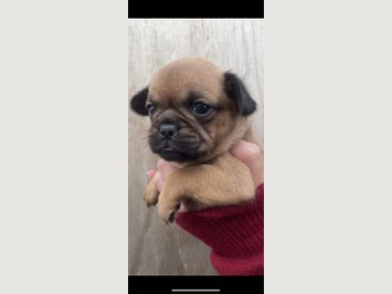 Image 1 of 10