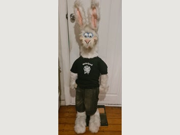 Image 1 of 5