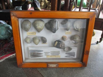 Image 1 of 10