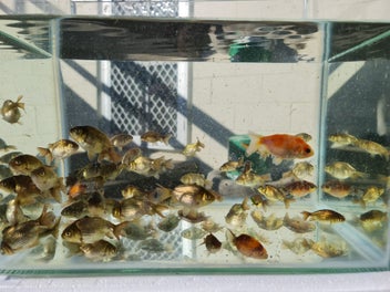 Image 1 of 9