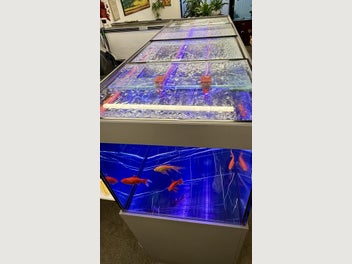 Image 1 of 15