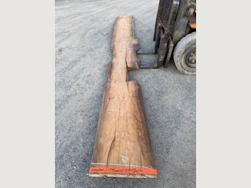 Image 1 of 18