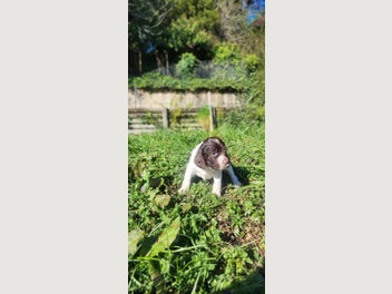 Image 1 of 16