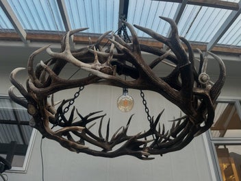Image 1 of 8