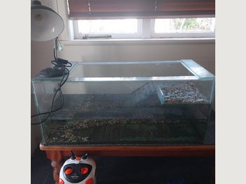 Image 1 of 7