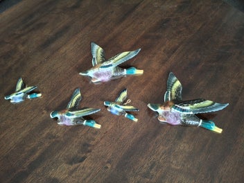 Image 1 of 5
