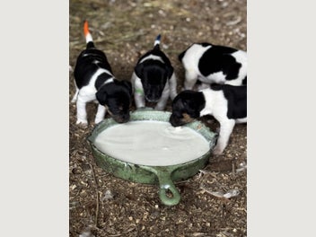 Image 1 of 14