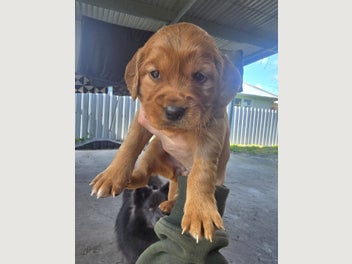 Image 1 of 14