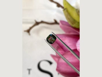 Image 1 of 5