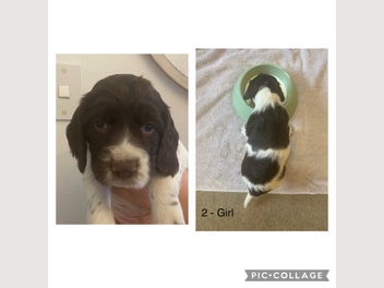 Image 1 of 15