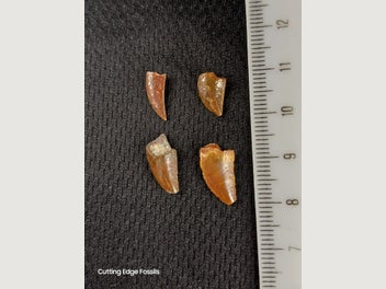 Image 1 of 16