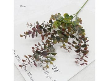 Image 1 of 9