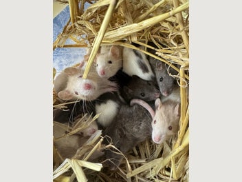 Image 1 of 20