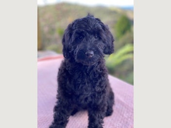 Image 1 of 5