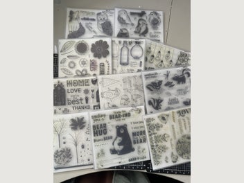 Image 1 of 12