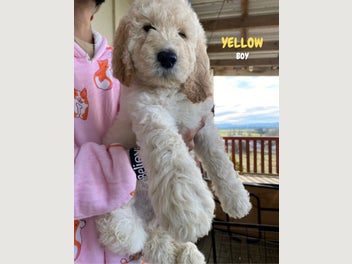 Image 1 of 19