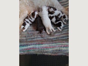 Image 1 of 19