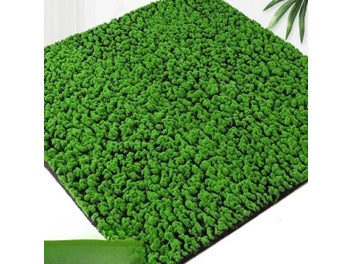 Image 1 of 10