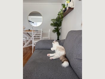 Image 1 of 9