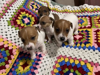 Image 1 of 20