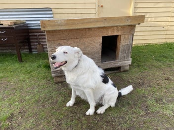 Image 1 of 4