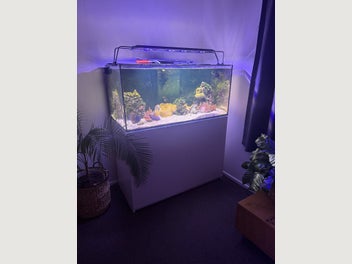 Image 1 of 11