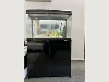Image 1 of 9