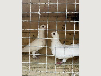 Image 1 of 16