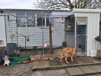 Image 1 of 2