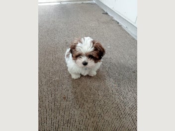 Image 1 of 1
