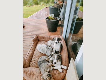 Image 1 of 16