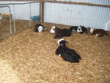 Image 1 of 6