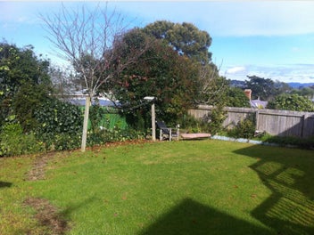 Image 1 of 12