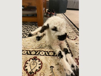 Image 1 of 5