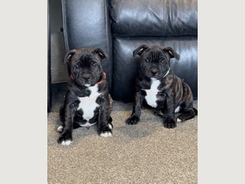 Image 1 of 18
