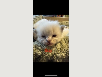 Image 1 of 20