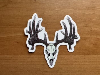 Image 1 of 6
