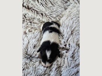 Image 1 of 20
