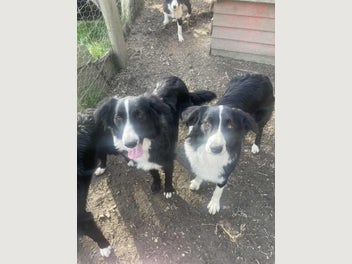 Image 1 of 12