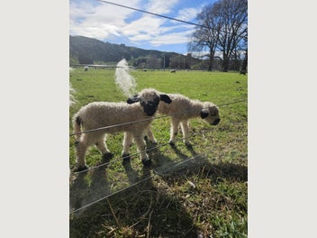 Image 1 of 3