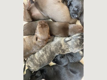Image 1 of 20