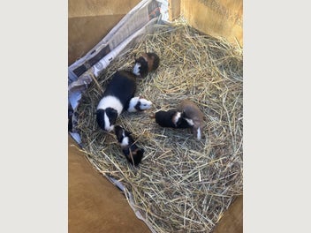 Image 1 of 20