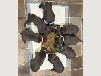 Image 1 of 20