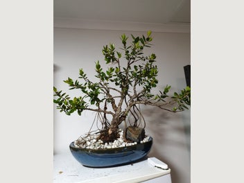 Image 1 of 4