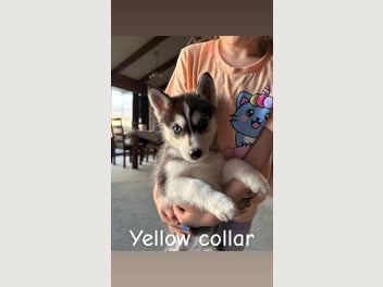 Image 1 of 10