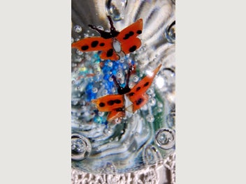 Image 1 of 9