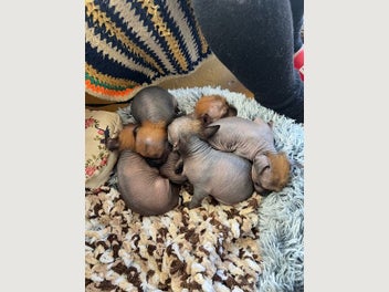 Image 1 of 10