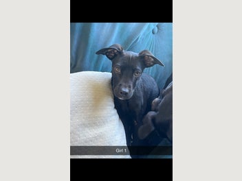 Image 1 of 4